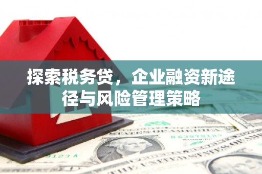 博尔塔拉蒙古探索税务贷，企业融资新途径与风险管理策略