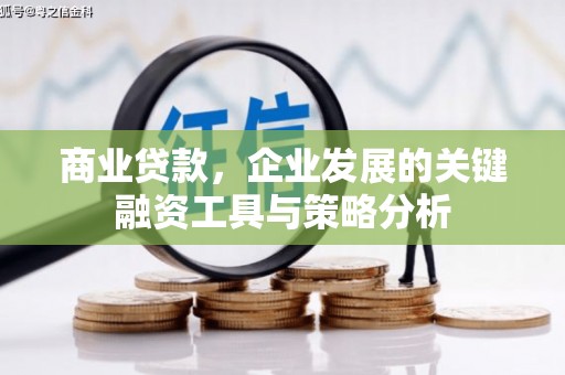 博尔塔拉蒙古商业贷款，企业发展的关键融资工具与策略分析