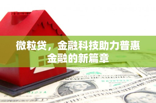 博尔塔拉蒙古微粒贷，金融科技助力普惠金融的新篇章