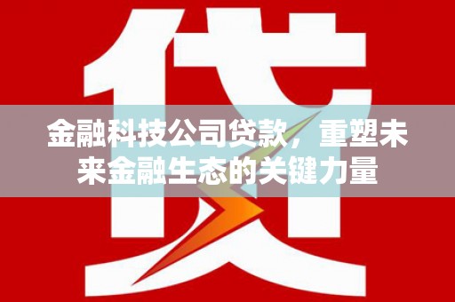 博尔塔拉蒙古金融科技公司贷款，重塑未来金融生态的关键力量