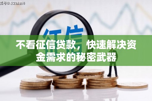 博尔塔拉蒙古不看征信贷款，快速解决资金需求的秘密武器