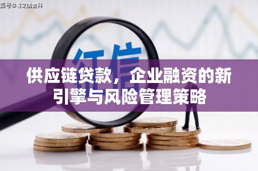 博尔塔拉蒙古供应链贷款，企业融资的新引擎与风险管理策略