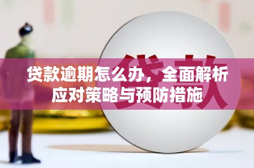 博尔塔拉蒙古贷款逾期怎么办，全面解析应对策略与预防措施