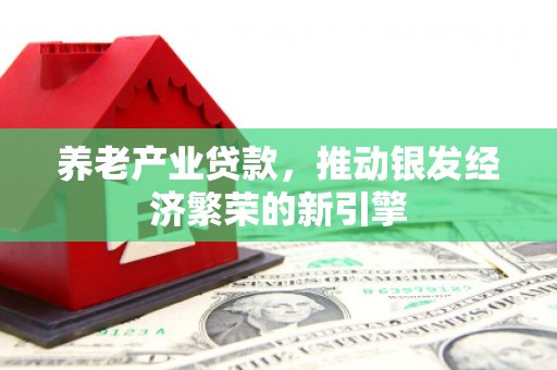 博尔塔拉蒙古养老产业贷款，推动银发经济繁荣的新引擎