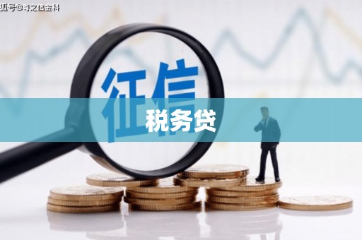 博尔塔拉蒙古税务贷