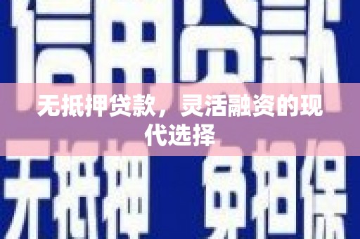博尔塔拉蒙古无抵押贷款，灵活融资的现代选择