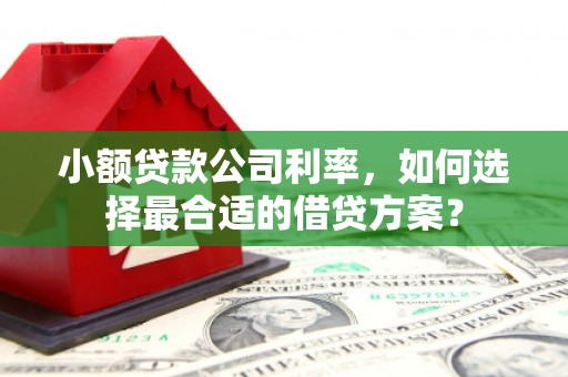 博尔塔拉蒙古小额贷款公司利率，如何选择最合适的借贷方案？