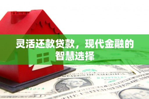 博尔塔拉蒙古灵活还款贷款，现代金融的智慧选择