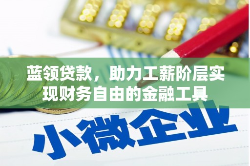 博尔塔拉蒙古蓝领贷款，助力工薪阶层实现财务自由的金融工具