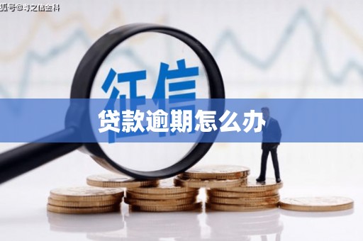 博尔塔拉蒙古贷款逾期怎么办