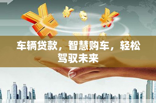 博尔塔拉蒙古车辆贷款，智慧购车，轻松驾驭未来