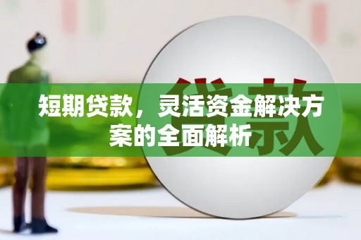 博尔塔拉蒙古短期贷款，灵活资金解决方案的全面解析