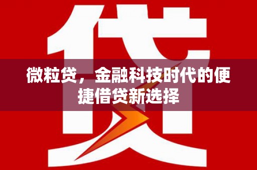 博尔塔拉蒙古微粒贷，金融科技时代的便捷借贷新选择