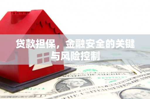博尔塔拉蒙古贷款担保，金融安全的关键与风险控制