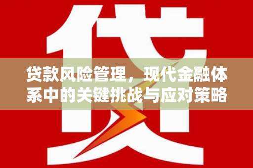 博尔塔拉蒙古贷款风险管理，现代金融体系中的关键挑战与应对策略