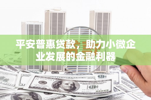 博尔塔拉蒙古平安普惠贷款，助力小微企业发展的金融利器
